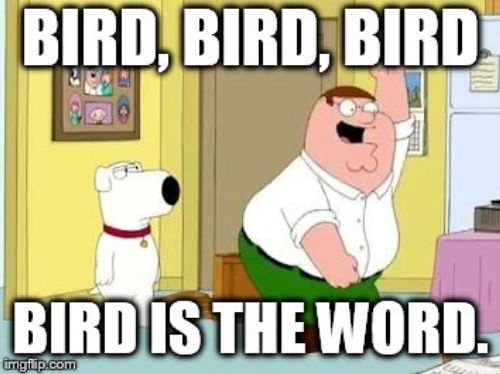 The Bird is The Word Meme Sound